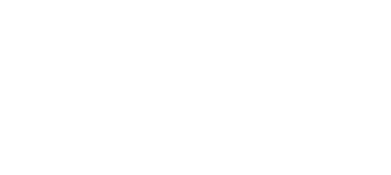 Charter Flights