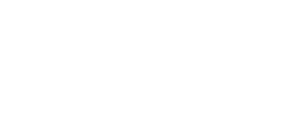 Express & Time-Critical Freight